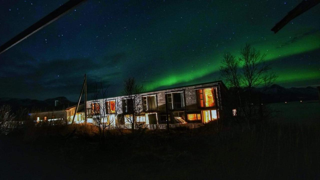 Bed and Breakfast Risvaer Brygger Digermulen Zewnętrze zdjęcie
